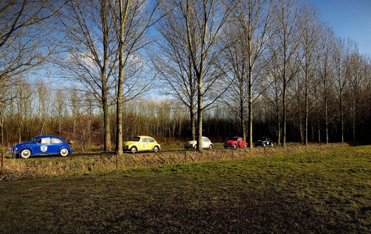 Kevers bij historisch pand en groene omgeving